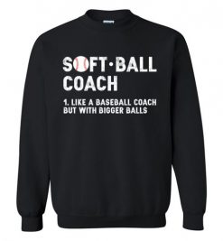 $29.95 – Softball Coach Funny Definition Baseball Sweatshirt